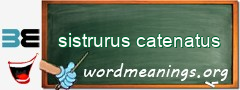 WordMeaning blackboard for sistrurus catenatus
